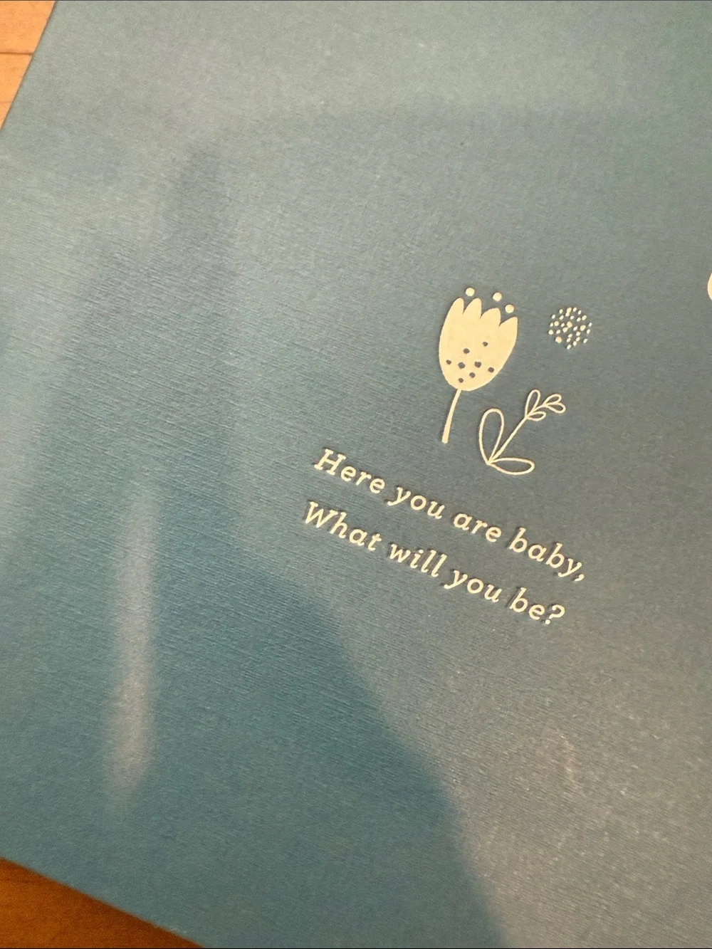 Here You Are, Baby Wishes for Your Little One Hardcover Baby Shower Memory Book
